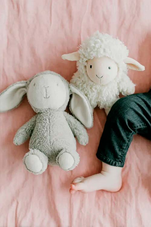 imagen subcategoría