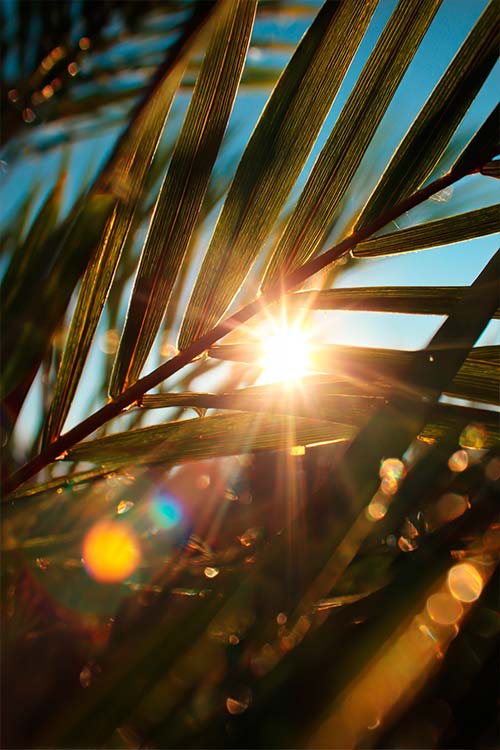 imagen subcategoría